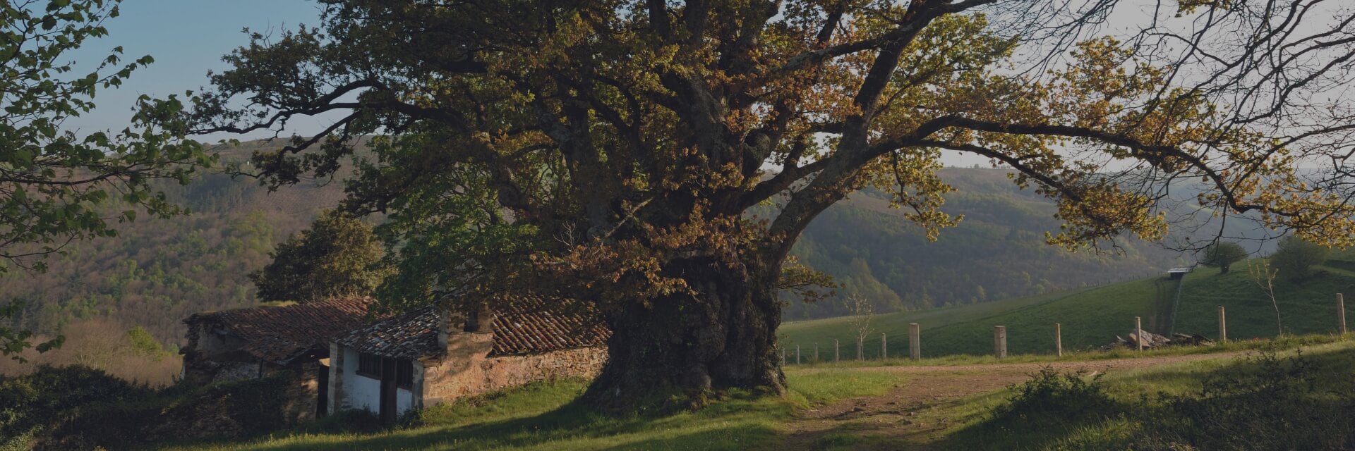 https://crasturias-compromiso.domain-cis-test1.com//resources/slider/memoria-caja-rural-de-asturias-2023-2.jpg